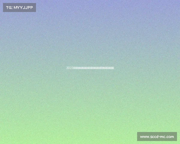 2023年国际女排赛事精彩纷呈全球强队激烈角逐中国女排奋勇争先