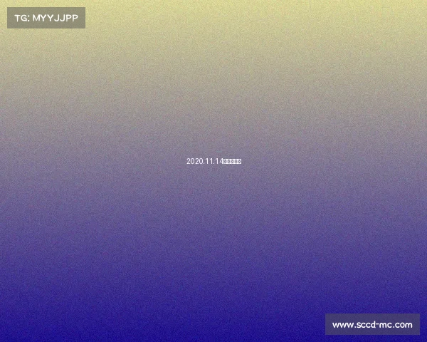 2020.11.14武林风视频